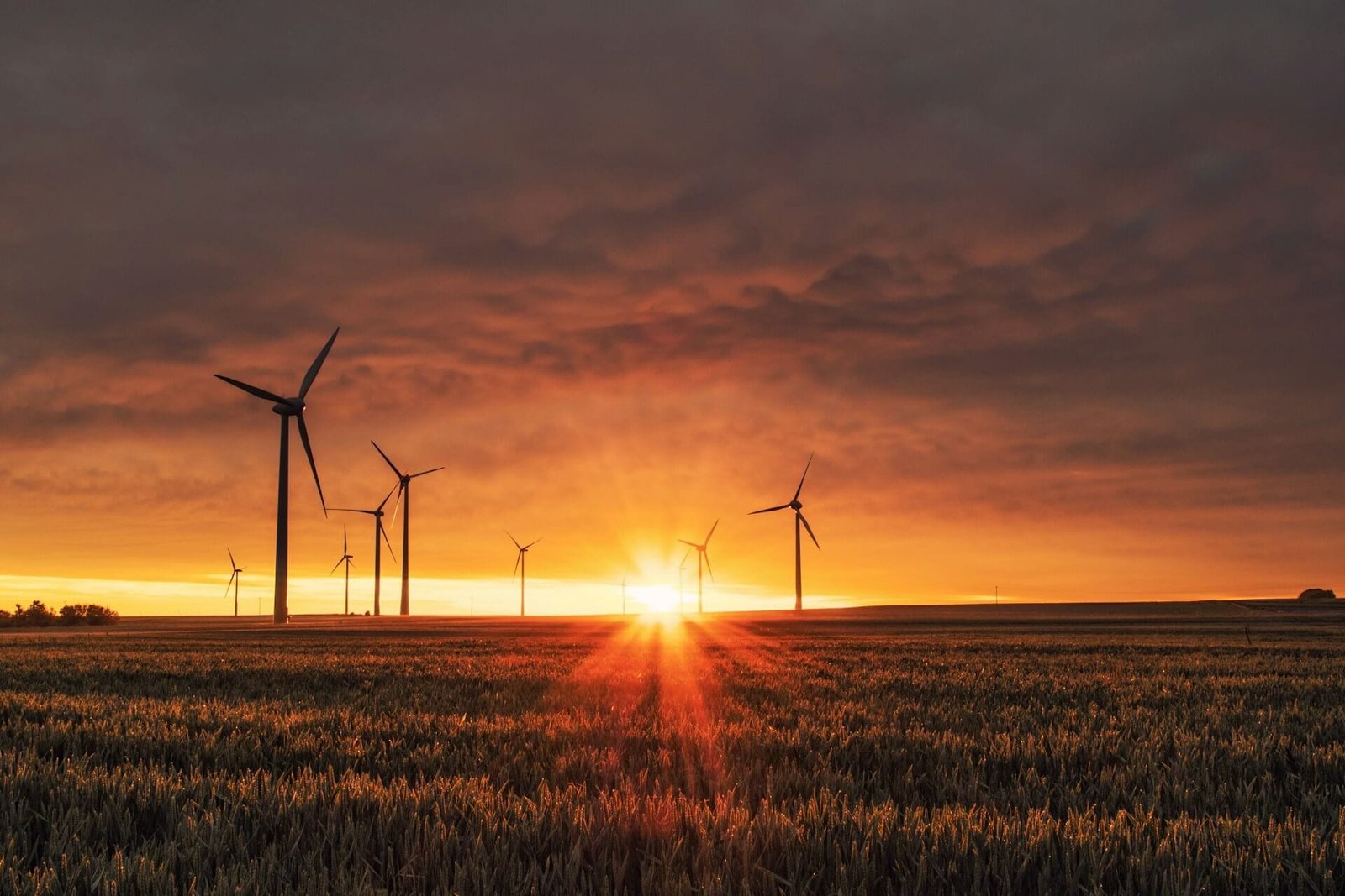 Hydrogreem Sistemas de Energía